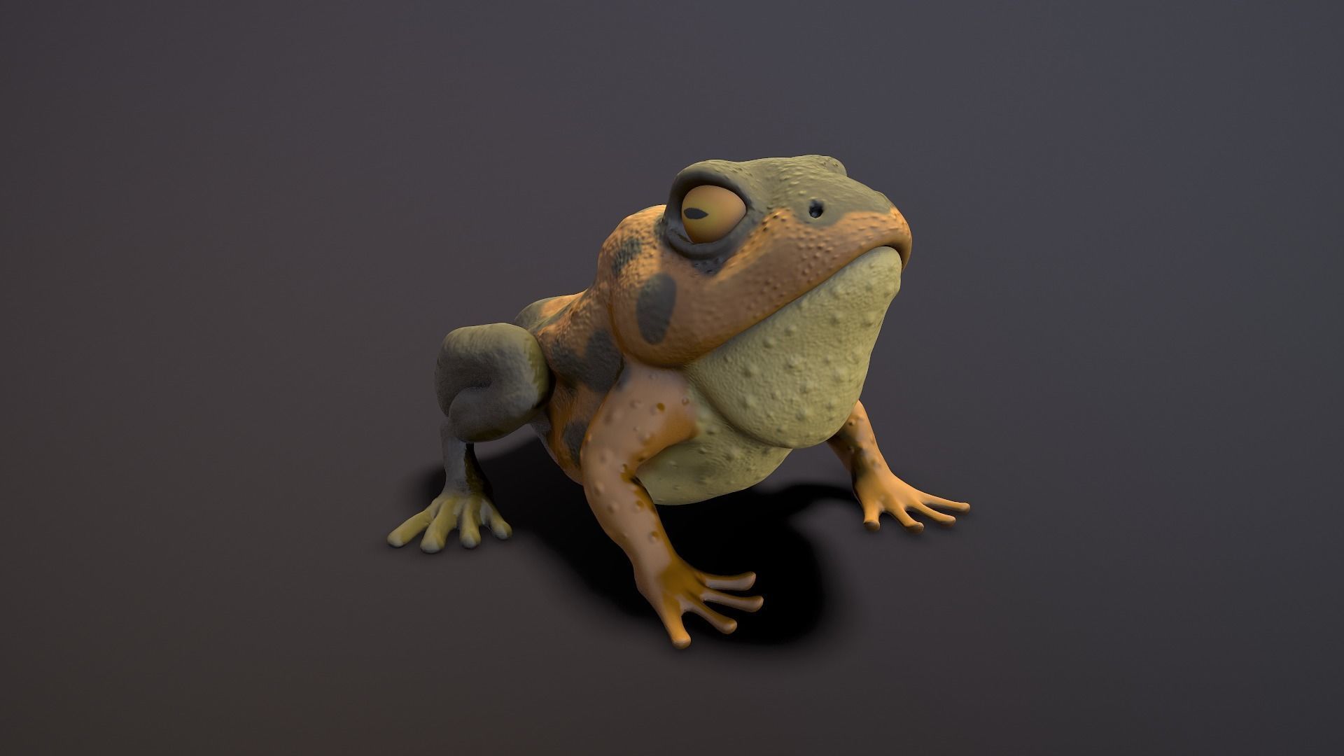 brown frog Low-poly 3D model_3