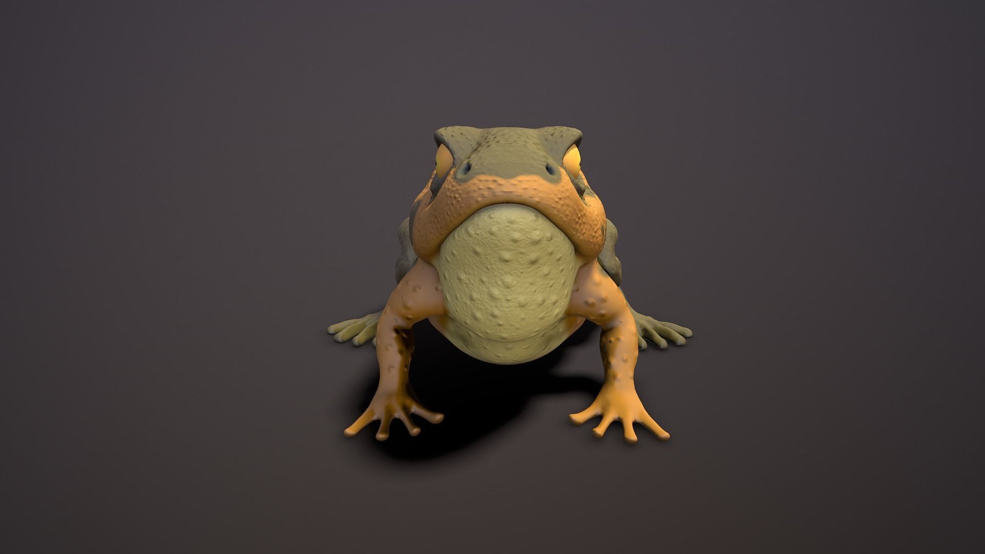 brown frog Low-poly 3D model_2