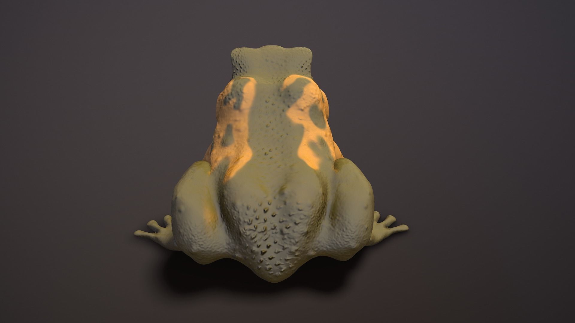 brown frog Low-poly 3D model_6