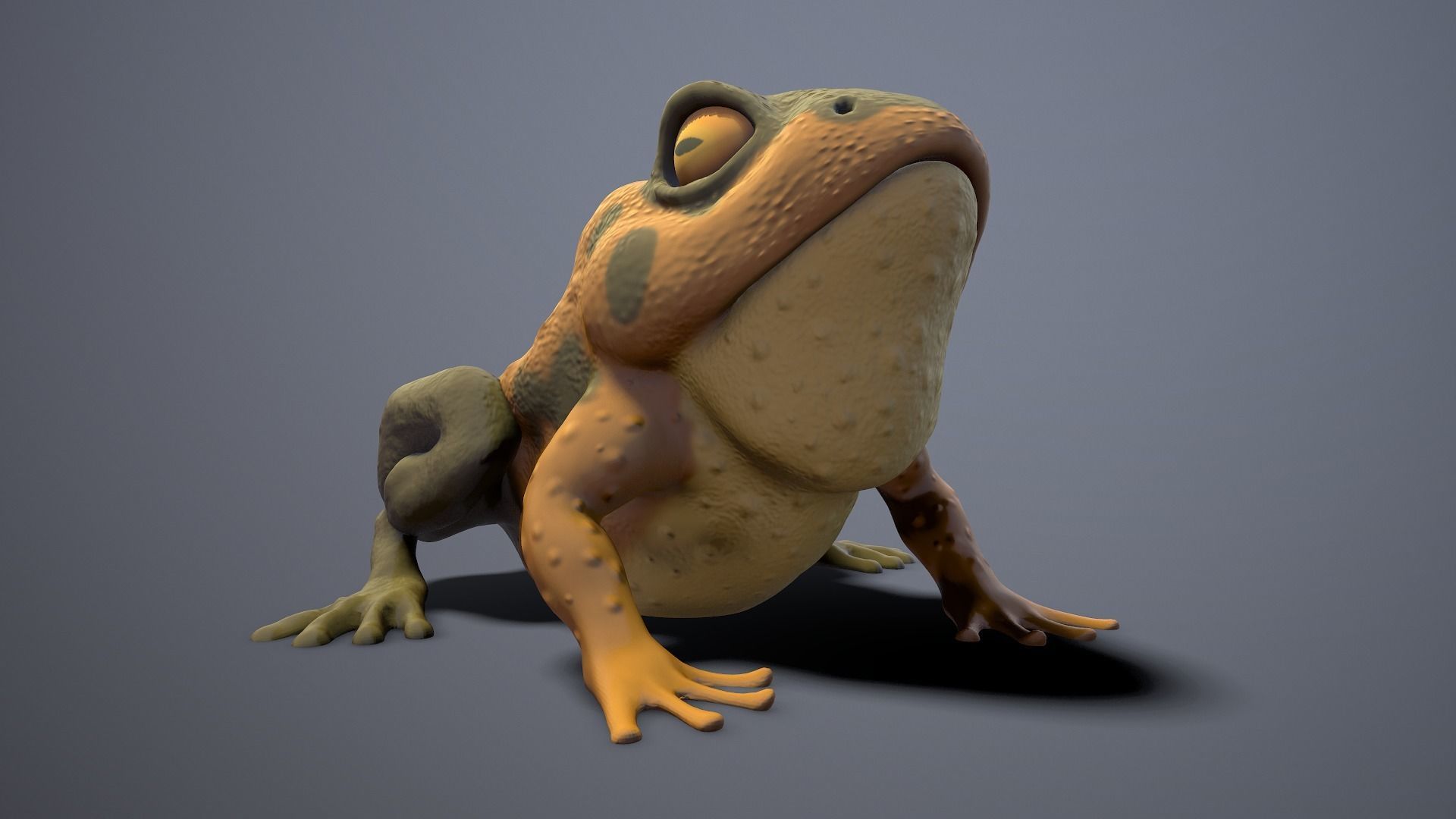 brown frog Low-poly 3D model_8