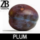 Plum  3D model_12