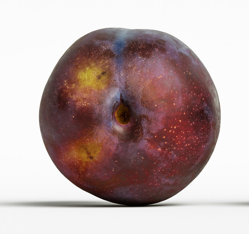 Plum  3D model_4
