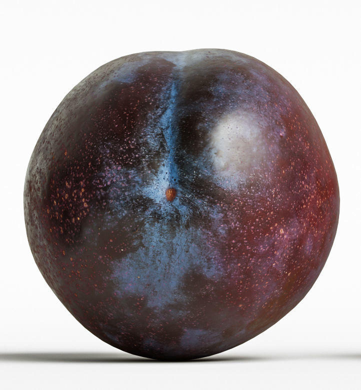 Plum  3D model_6