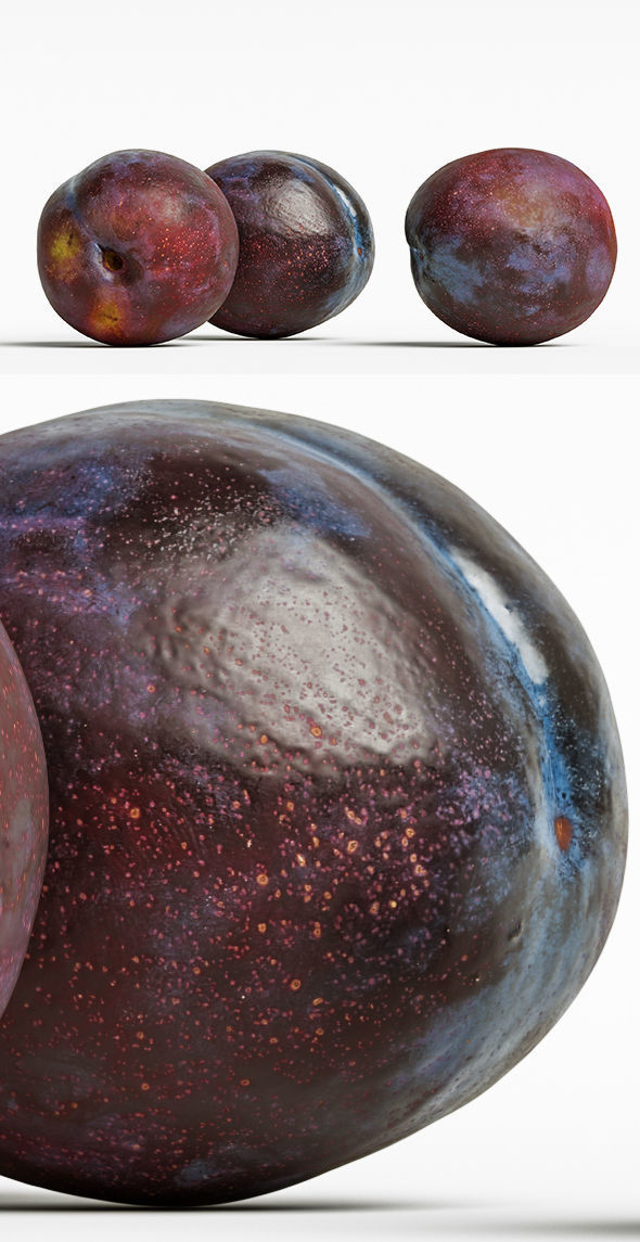 Plum  3D model_11