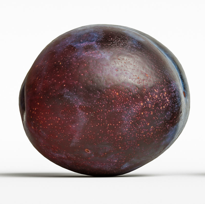 Plum  3D model_5
