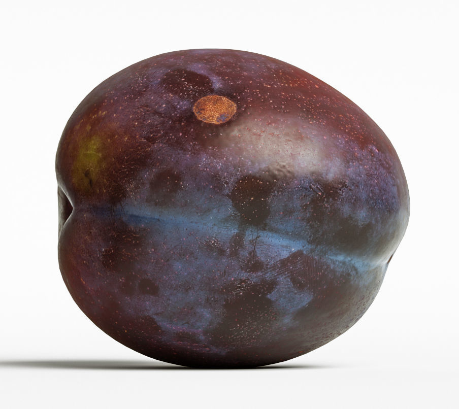 Plum  3D model_7
