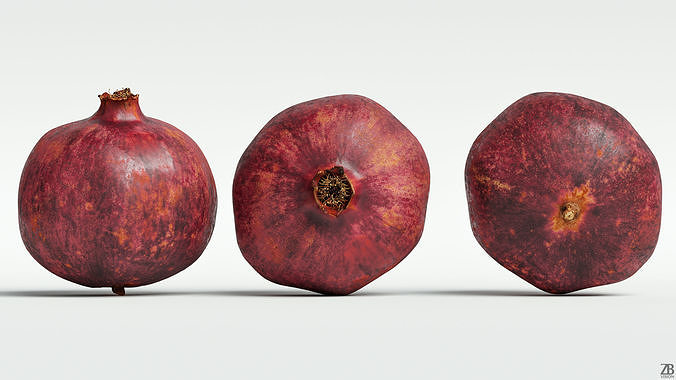 Pomegranate 3D model 4