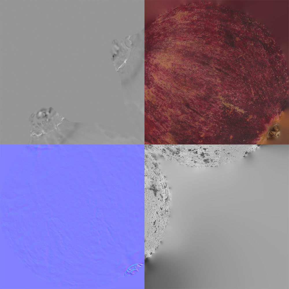 Pomegranate 3D model_9