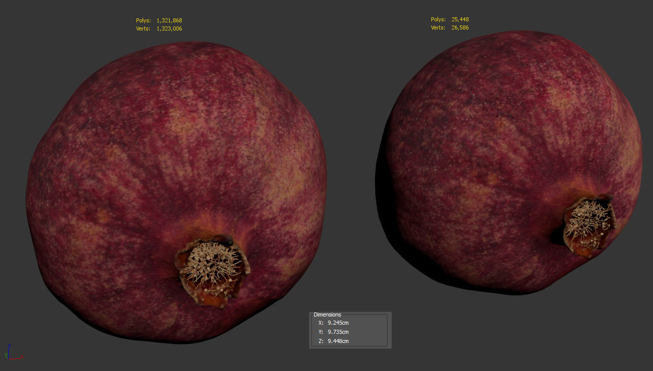 Pomegranate 3D model_8