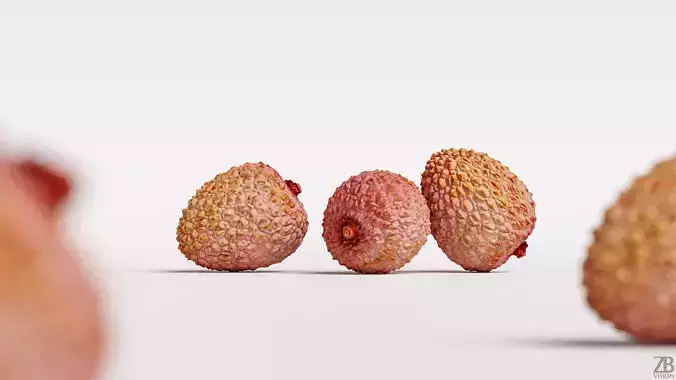 Lychee 3D model