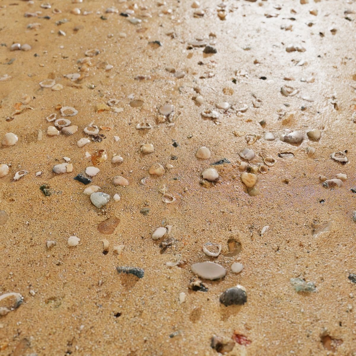 Beach Sand PBR Texture Texture_19
