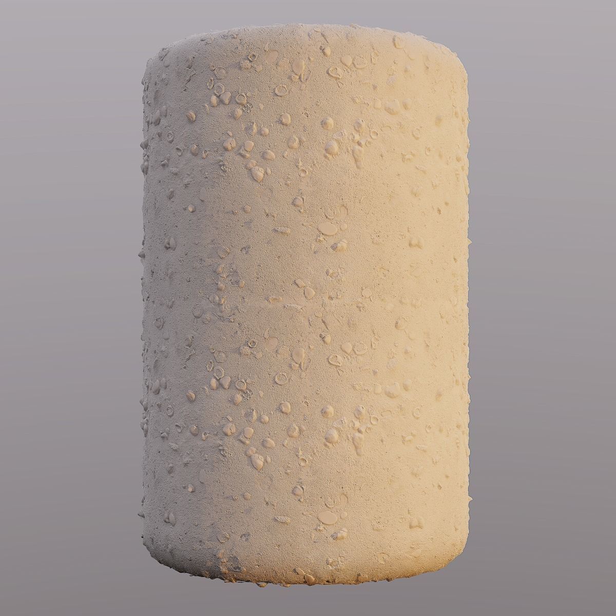 Beach Sand PBR Texture Texture_5