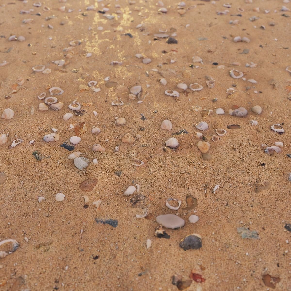 Beach Sand PBR Texture Texture_16