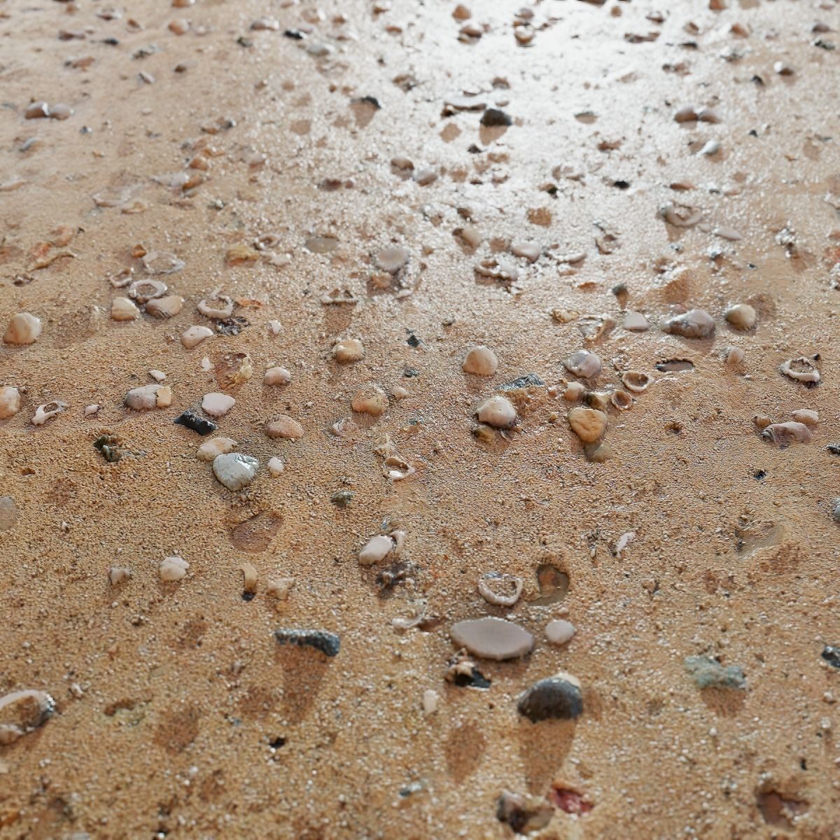 Beach Sand PBR Texture Texture_22