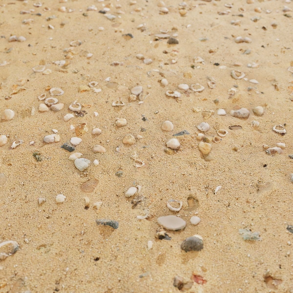 Beach Sand PBR Texture Texture_18