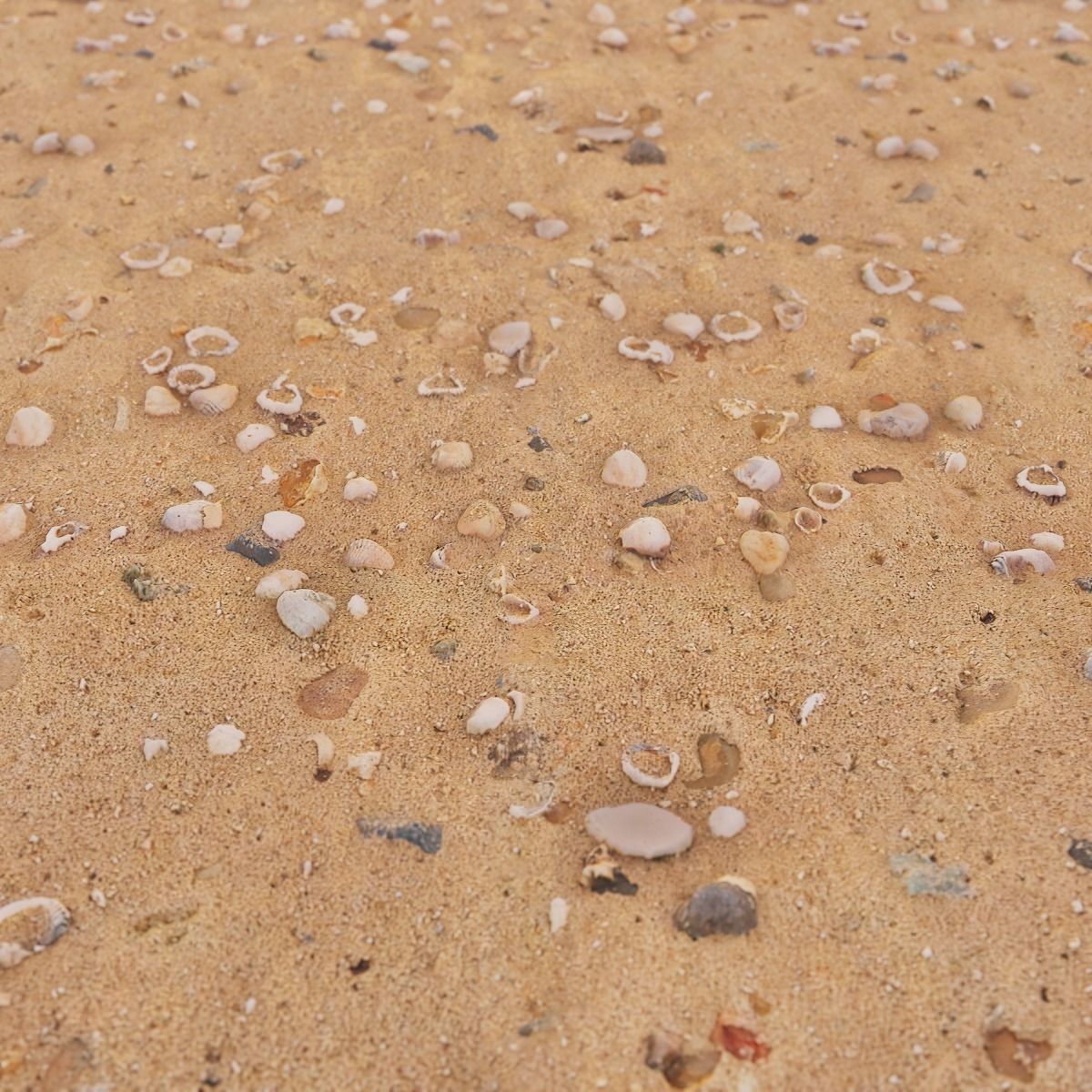 Beach Sand PBR Texture Texture_15