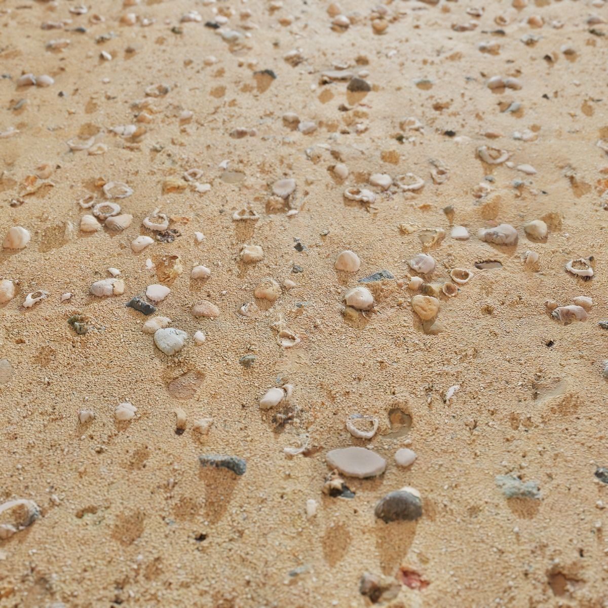 Beach Sand PBR Texture Texture_21