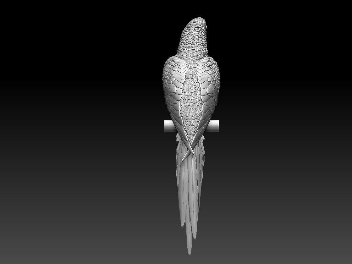 parrot perched on branch 3D print model_5