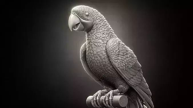 parrot perched on branch