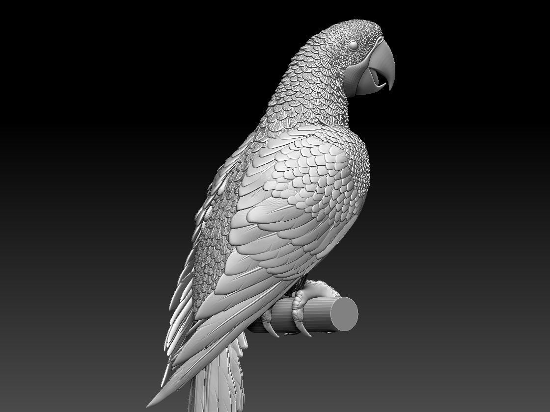 parrot perched on branch 3D print model_1