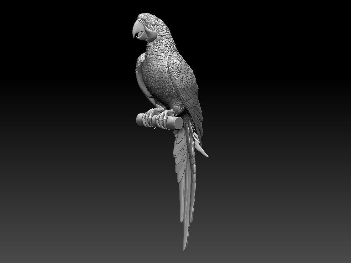 parrot perched on branch 3D print model_3
