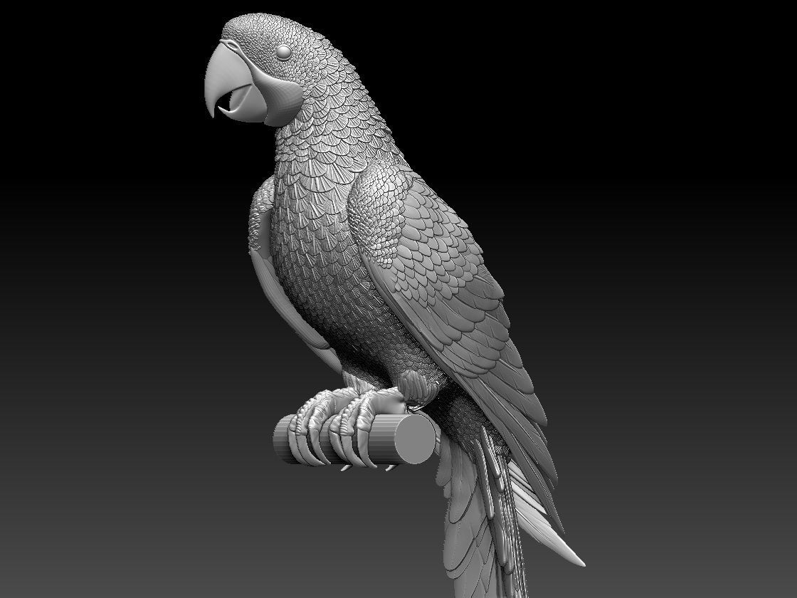 parrot perched on branch 3D print model_12