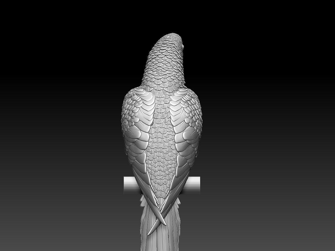 parrot perched on branch 3D print model_8