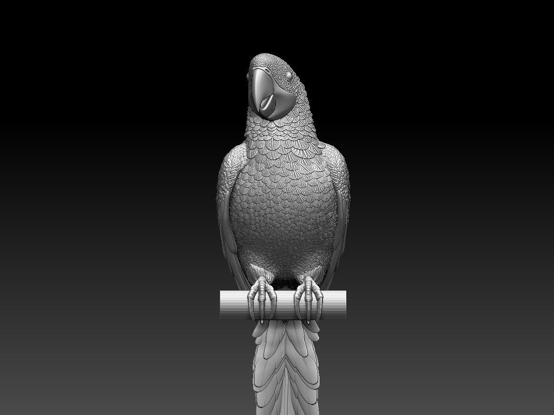 parrot perched on branch 3D print model_11