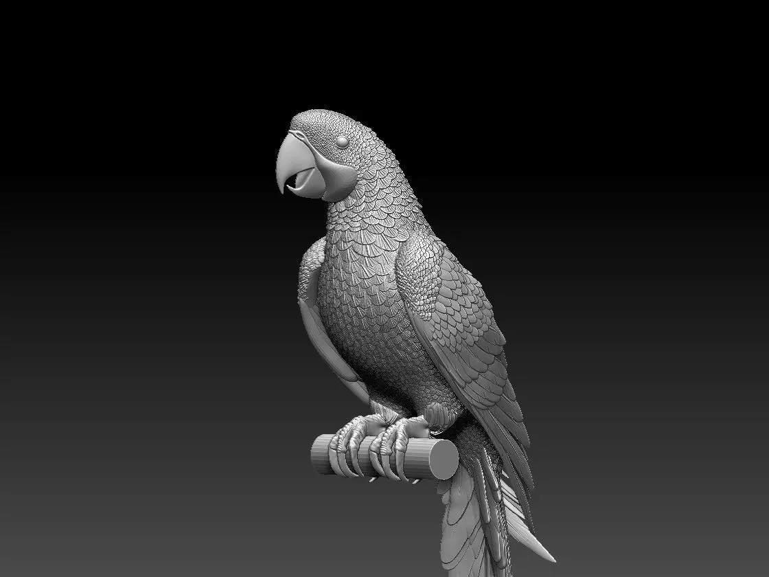 parrot perched on branch 3D print model_0