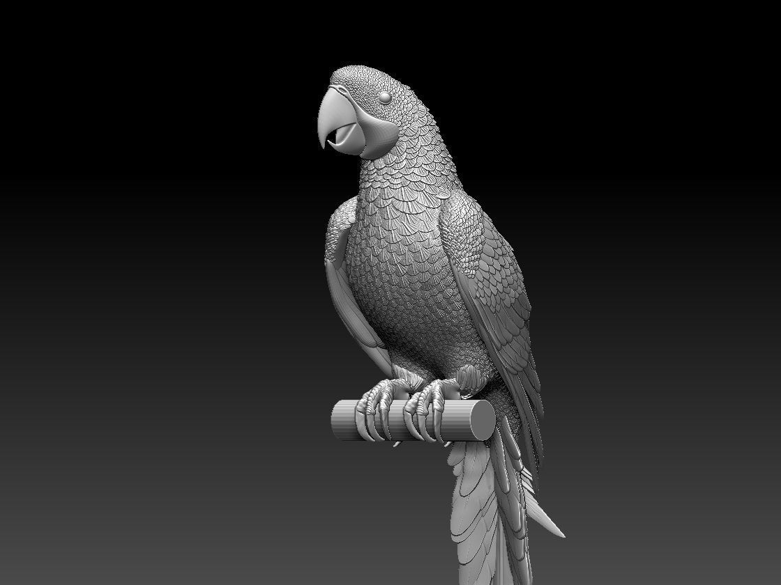 parrot perched on branch 3D print model_10