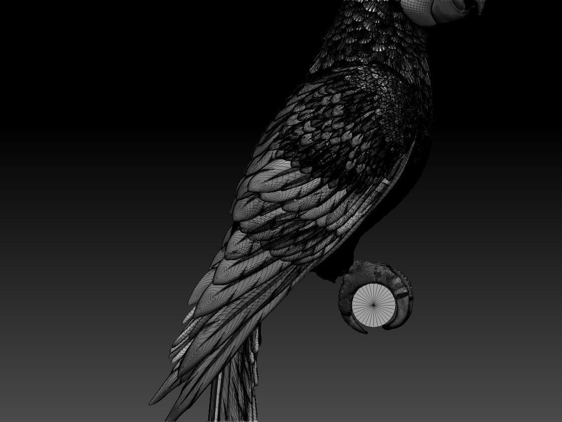 parrot perched on branch 3D print model_13