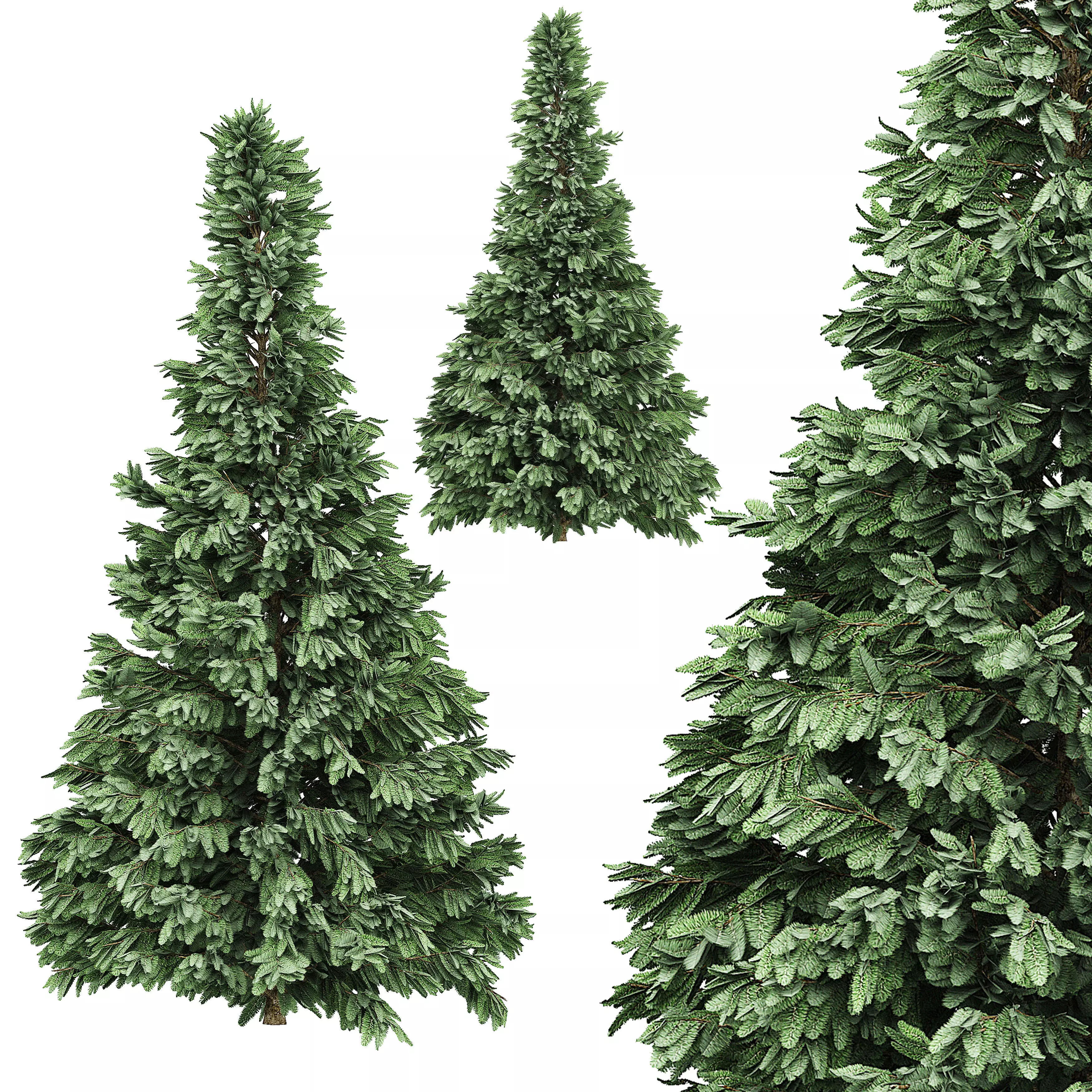 Spruce 4 two artificial christmas trees 3D model
