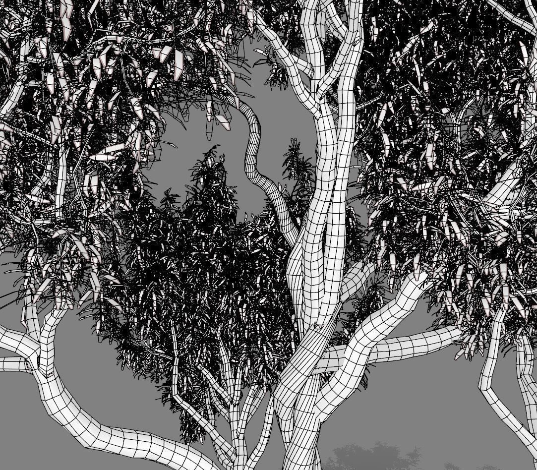 American Chestnut Tree 001 - Castanea Dentata  3D model_11