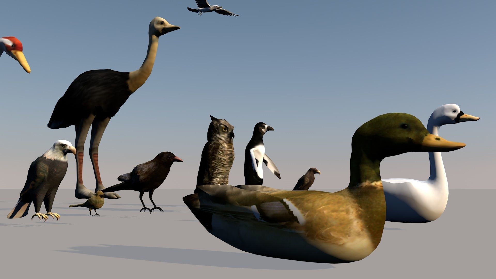 Game ready Low Poly bird collection two bald eagles flying in... Free low-poly 3D model_4