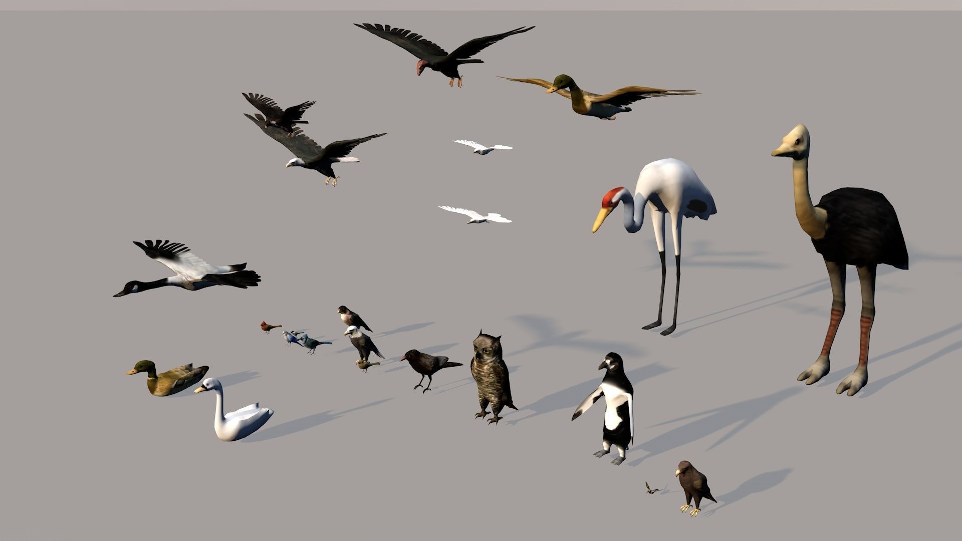 Game ready Low Poly bird collection two bald eagles flying in... Free low-poly 3D model_1
