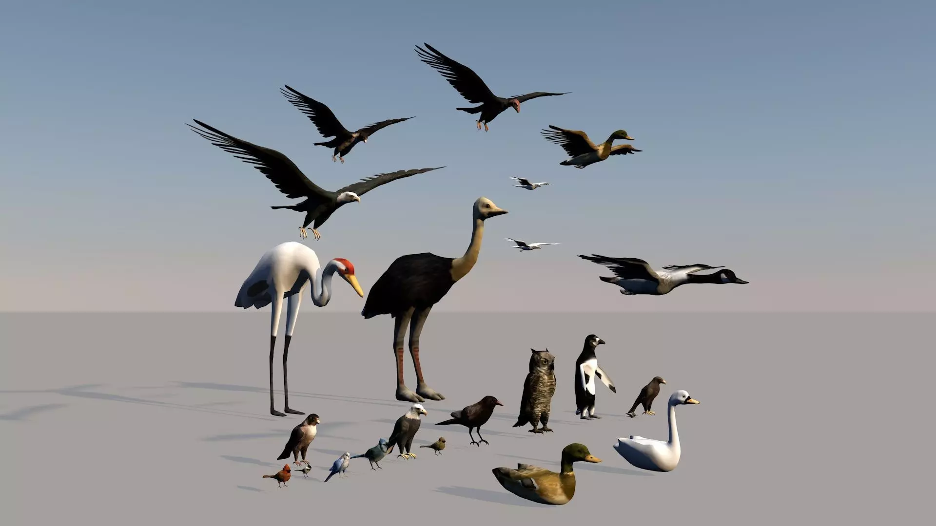 Game ready Low Poly bird collection two bald eagles flying in... Free low-poly 3D model_0