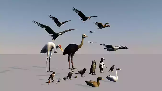 Game ready Low Poly bird collection two bald eagles flying in... Free low-poly 3D model