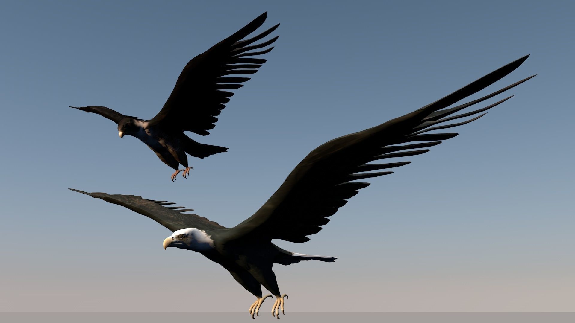 Game ready Low Poly bird collection two bald eagles flying in... Free low-poly 3D model_3