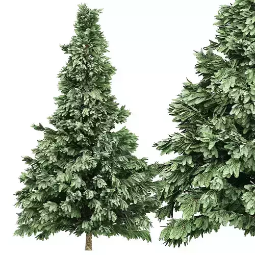 Spruce 5 two artificial christmas trees