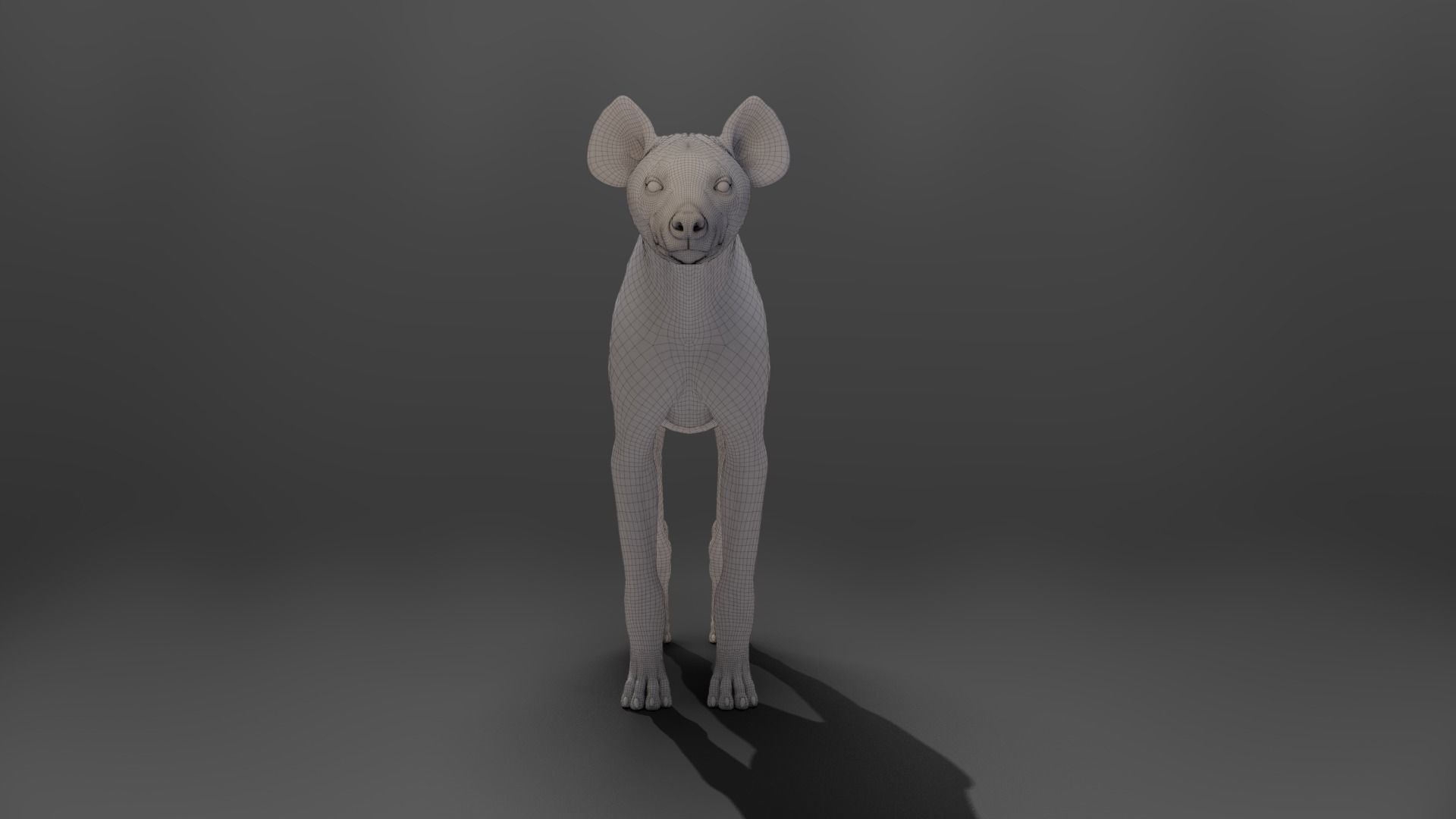 Spotted Hyena Animated 3D model_15