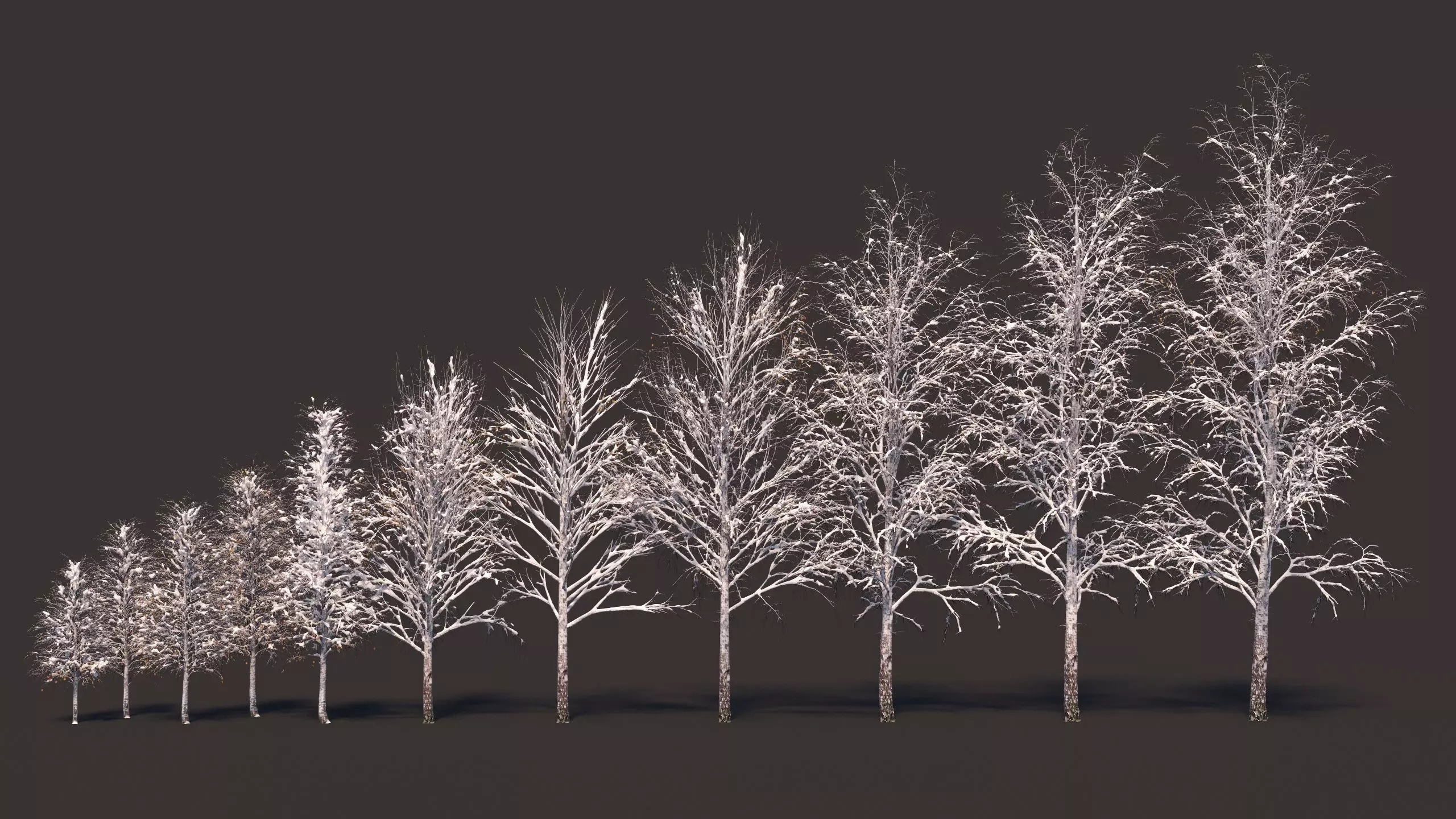 Winter birches with snow 3D model_0