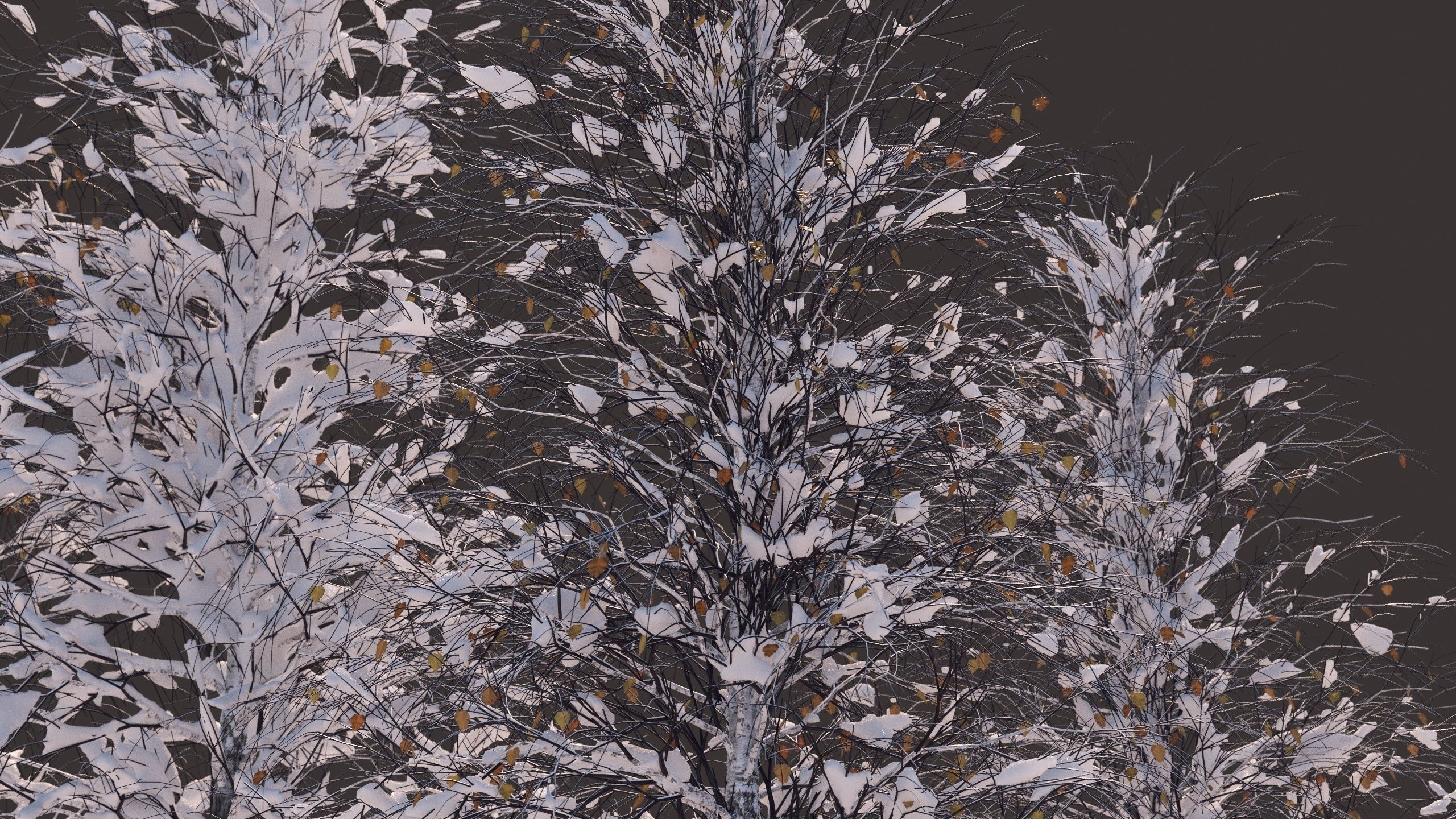 Winter birches with snow 3D model_8