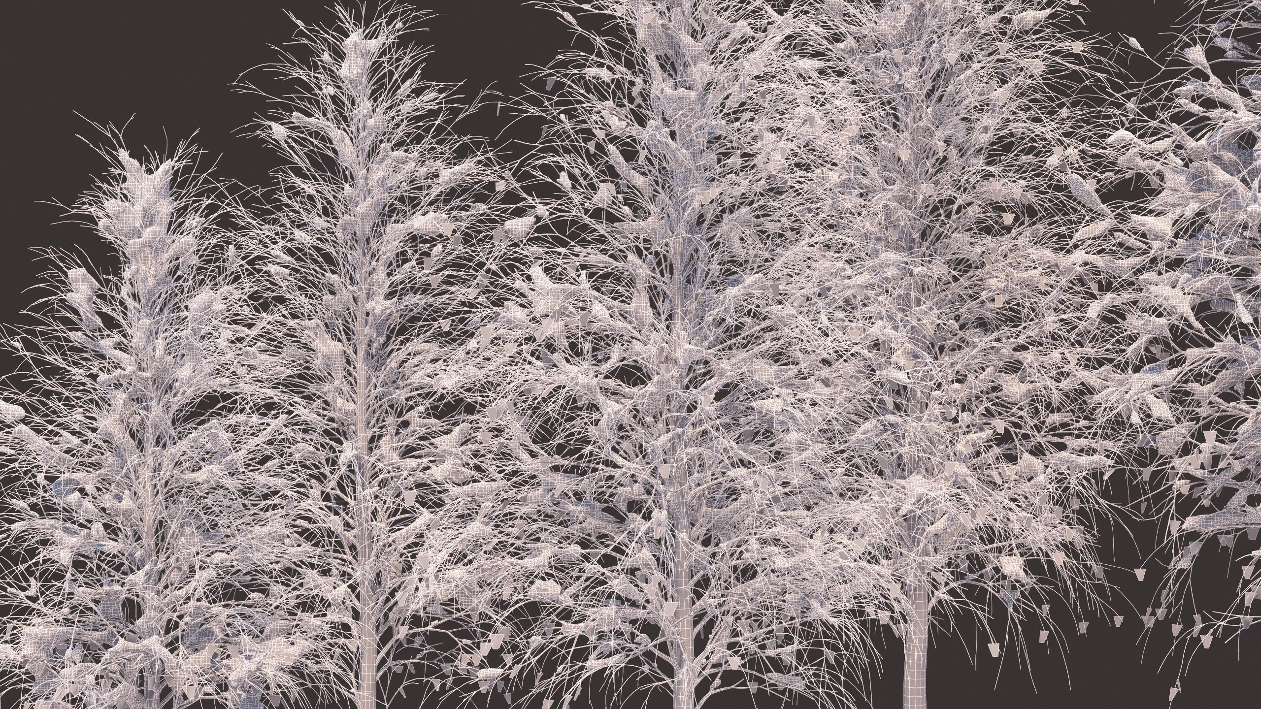 Winter birches with snow 3D model_14