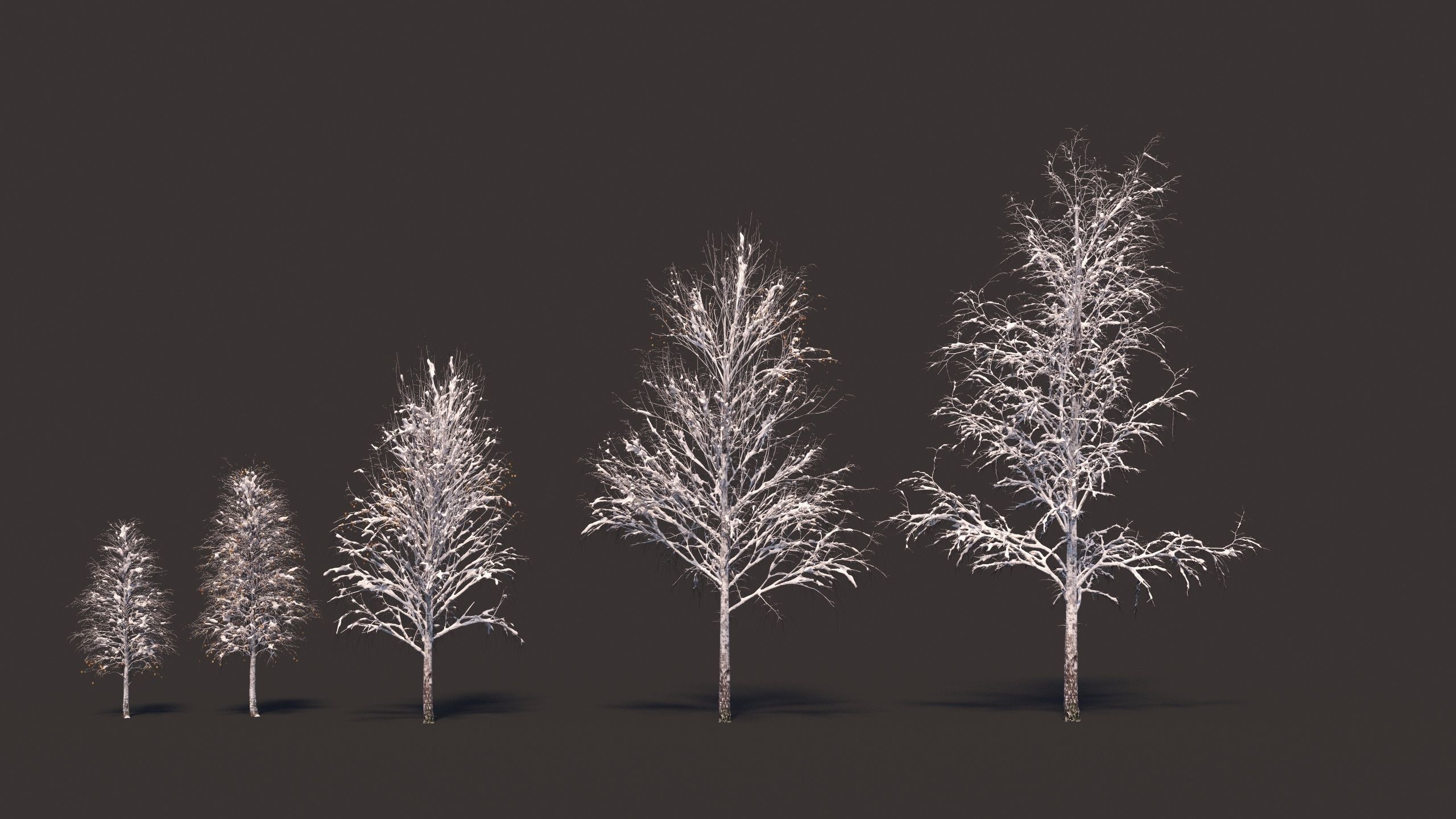 Winter birches with snow 3D model_5