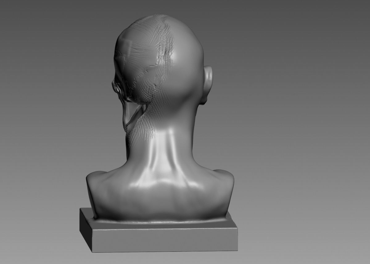 Half face half skull 3d print model 3D print model_24