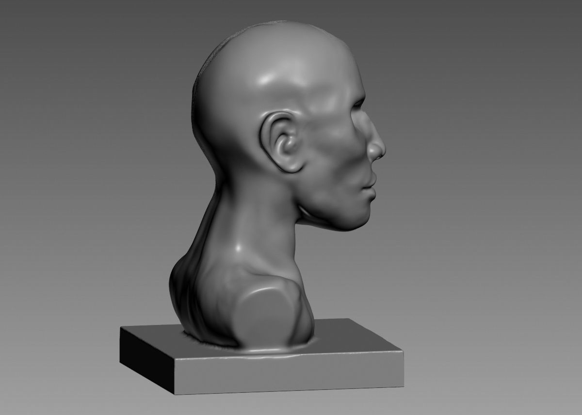 Half face half skull 3d print model 3D print model_15