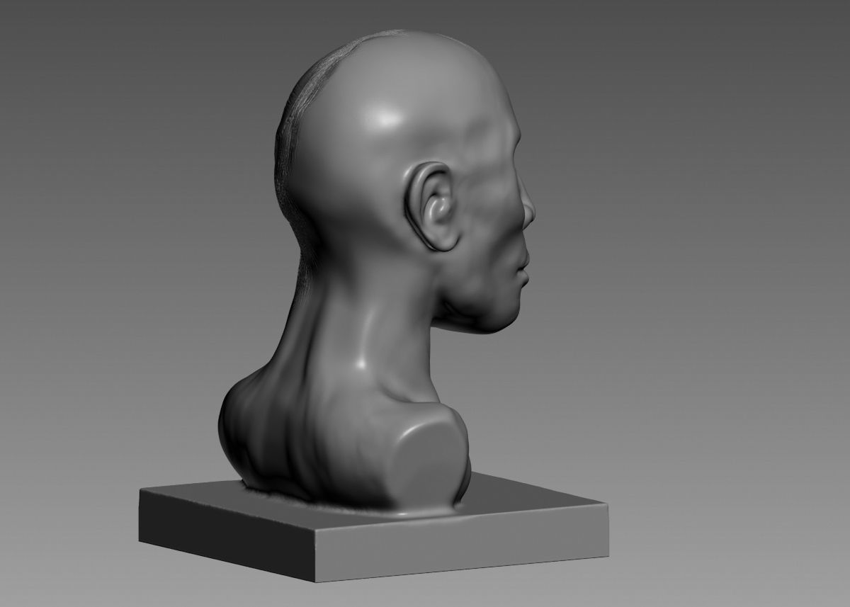 Half face half skull 3d print model 3D print model_17