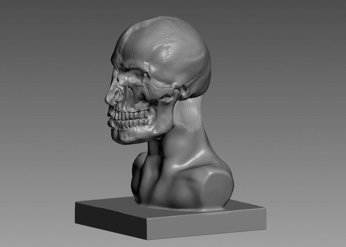 Half face half skull 3d print model 3D print model_37