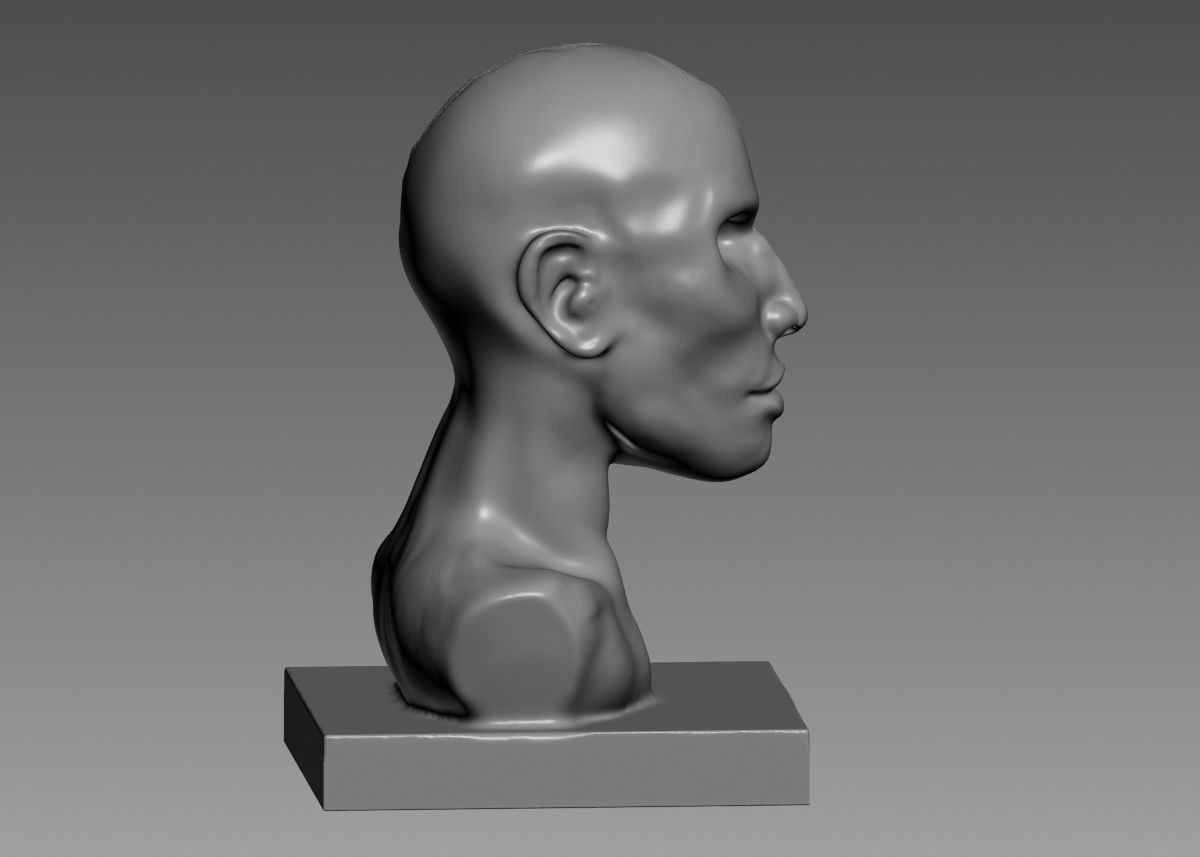 Half face half skull 3d print model 3D print model_14