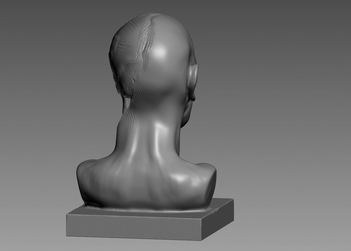 Half face half skull 3d print model 3D print model_22